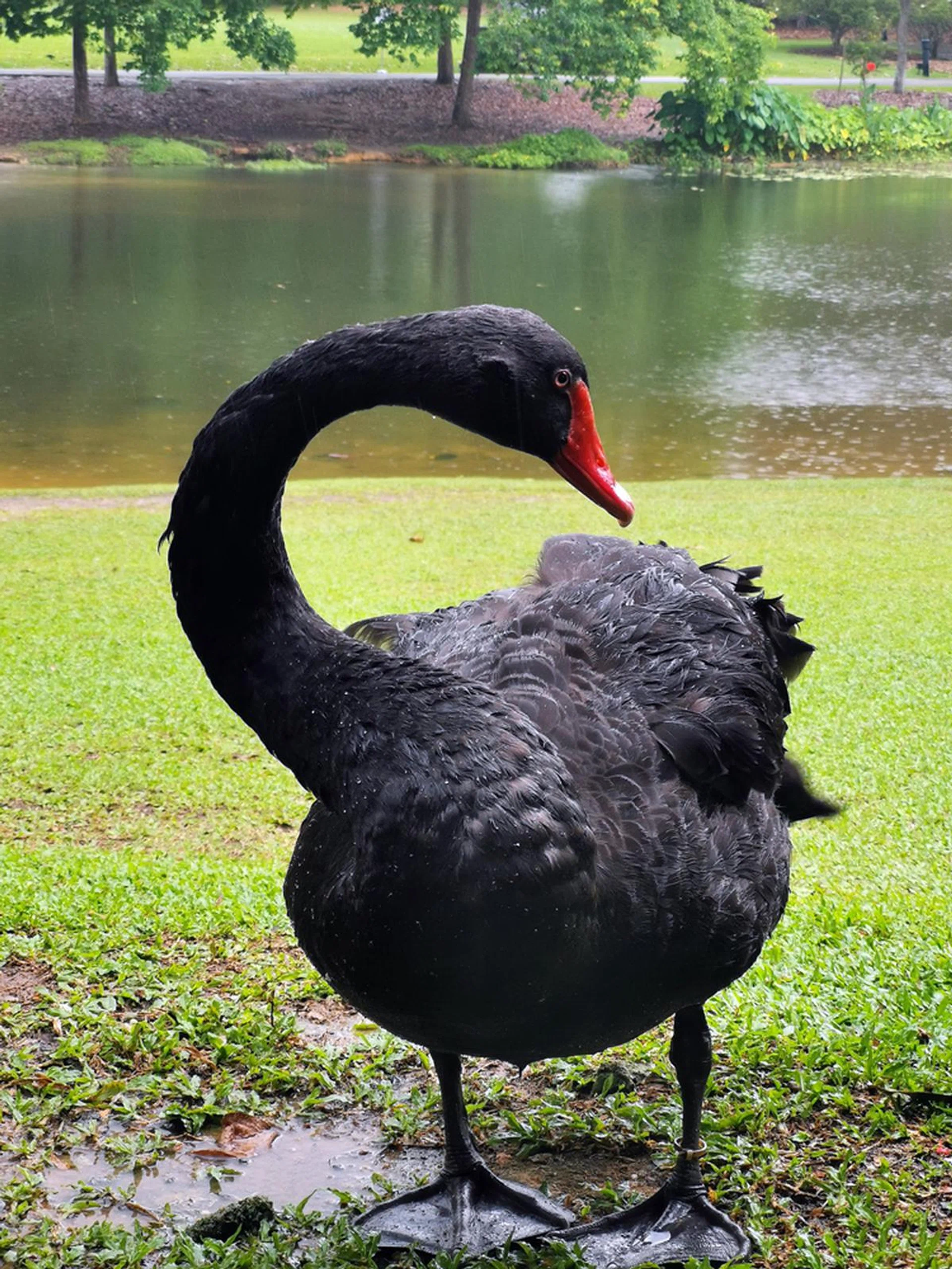 3x zoom, ISO50, 1/100 sec