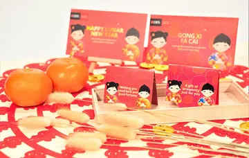 DBS QR Gift (CNY 2022 designs).