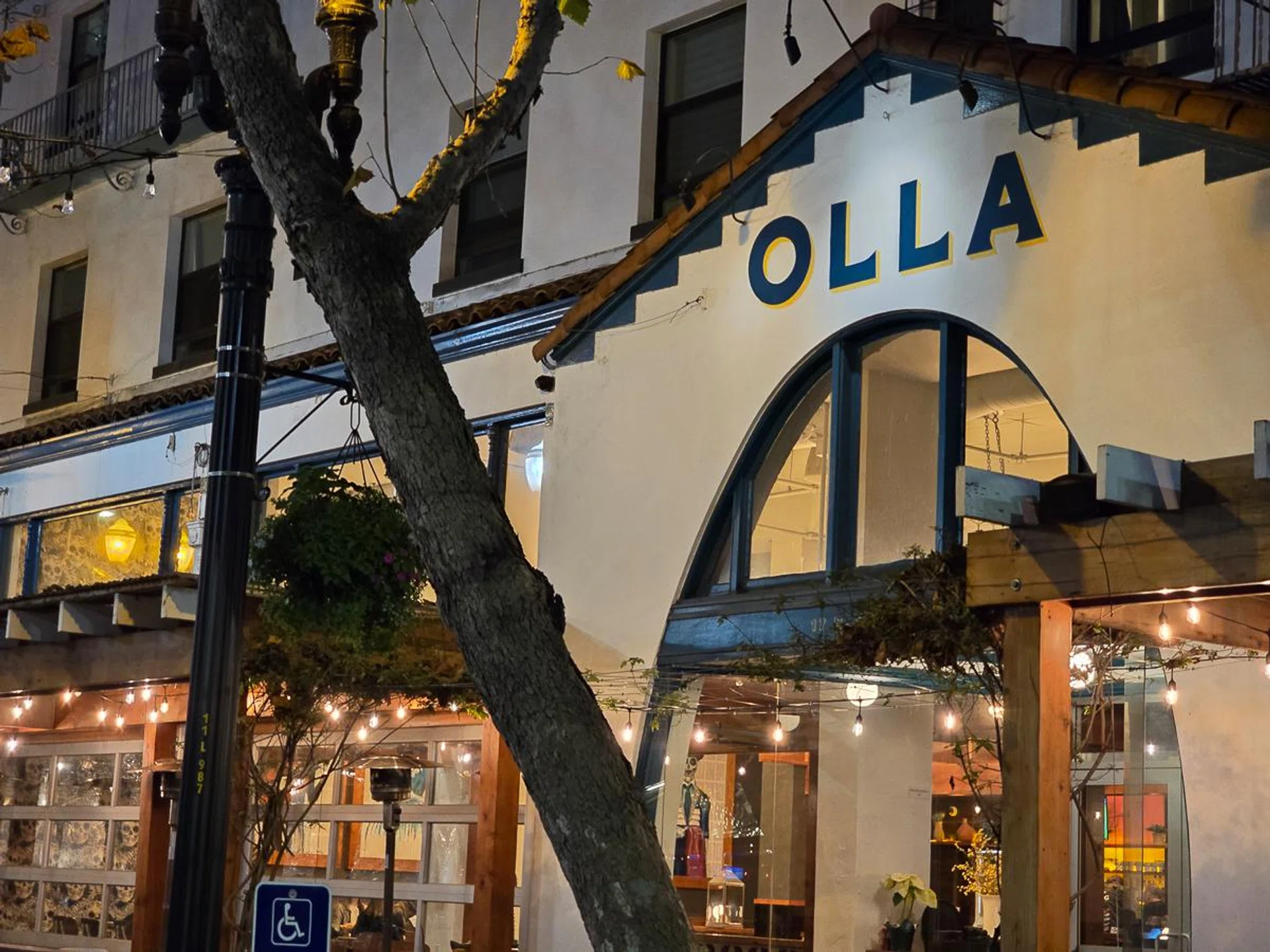 3x zoom in low light conditions.