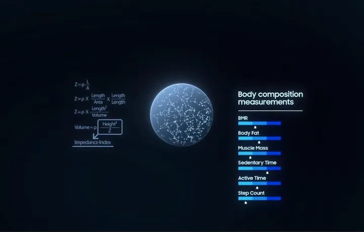 Find out your bodies real composition. 