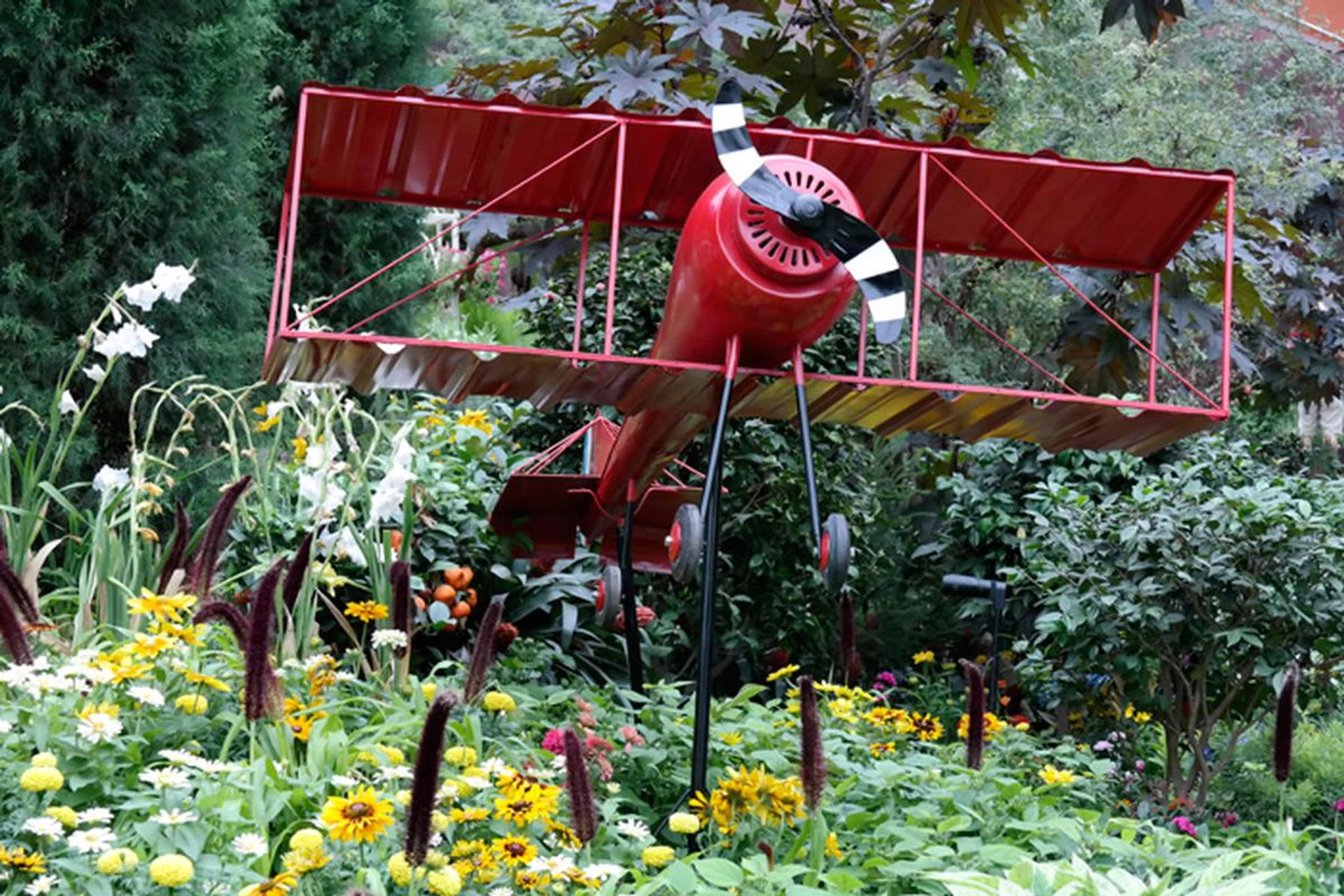 f/8 at 84mm, 1/80 sec, ISO 1600.