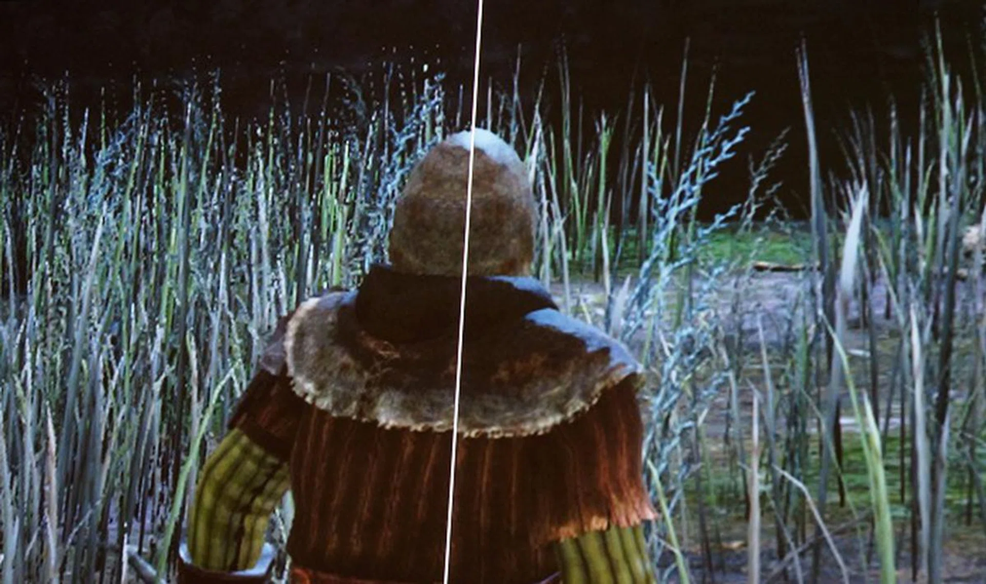 NVIDIA's presented a close-up split-screen of Dark Souls II rendered on a 1080p display without DSR and with DSR (right). You can immediately see the difference in the quality of the blades of grass has improved quite drastically.