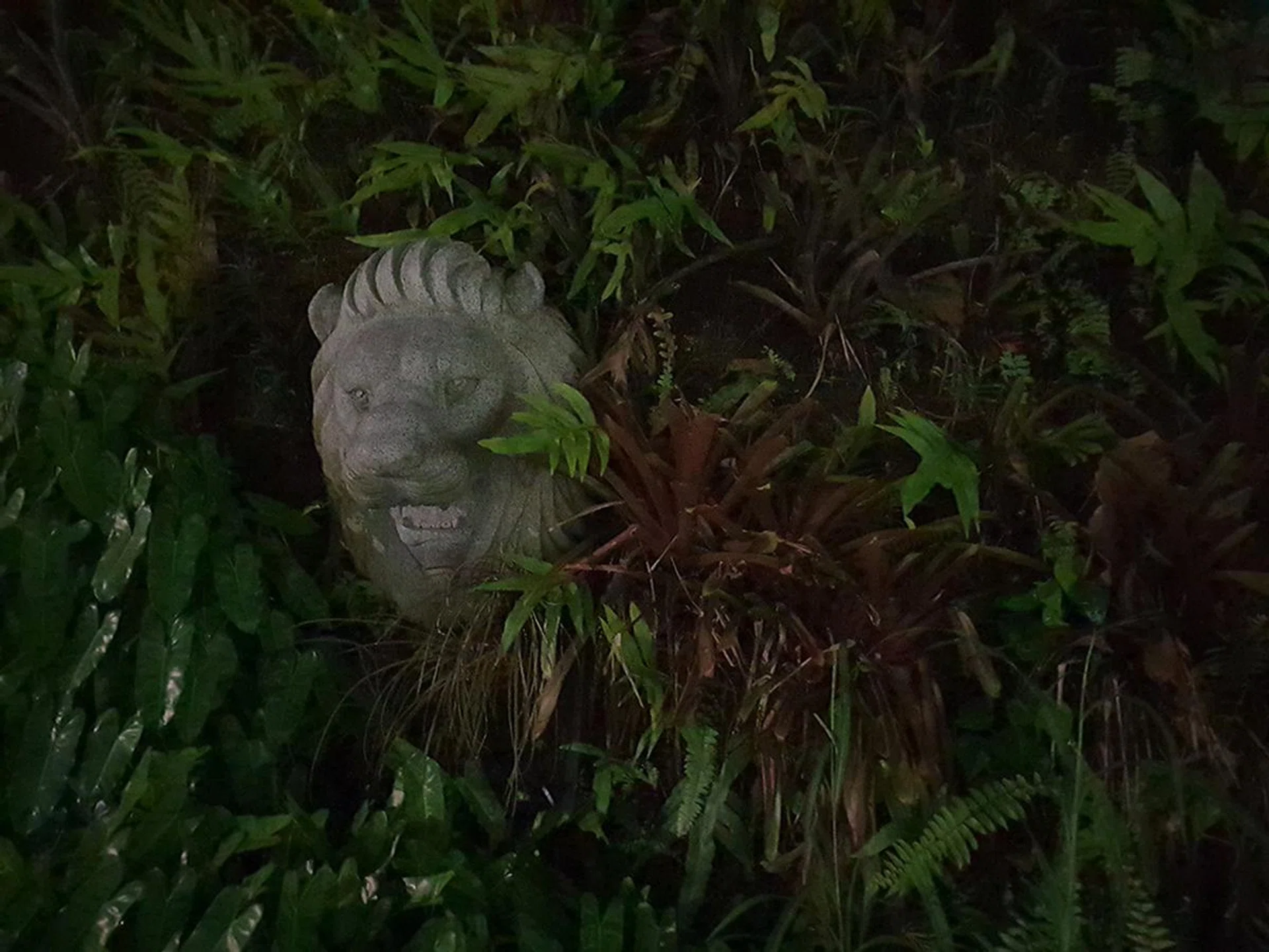 f/2.4 with wide-angle lens, 1/4 sec, ISO 1,250. At f/2.4 the S9 camera cannot capture as much light in this dim environment.