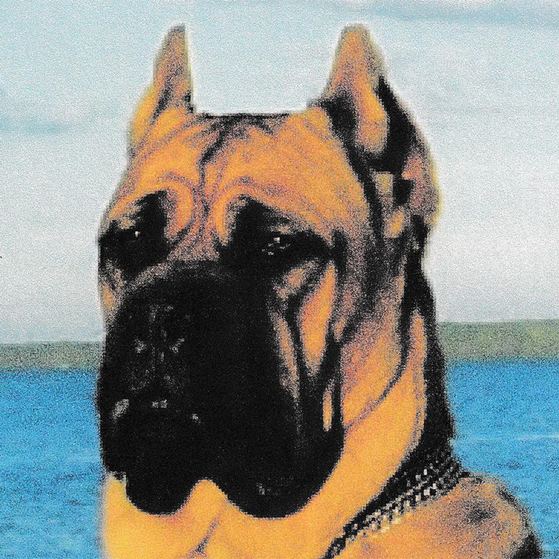 Print quality setting at Standard.