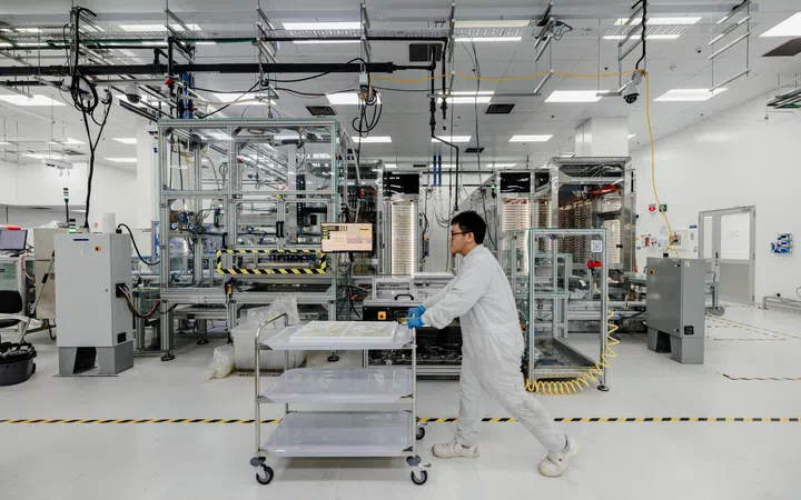 Google Debug Wolbachia mosquito suppression technology upgrade