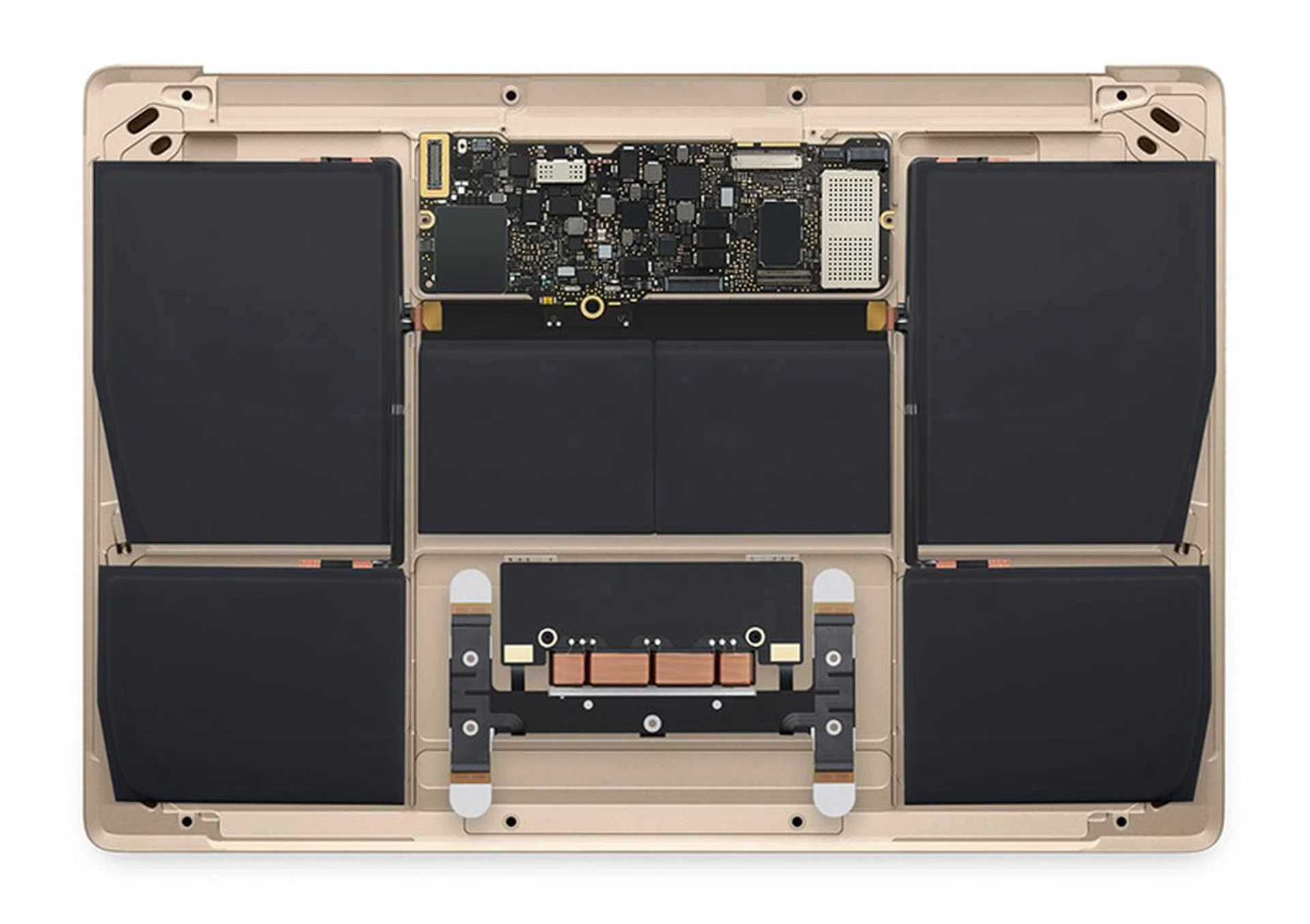 A peek inside the MacBook. Note how small the logic board is and also the lack of fans. Finally, look at how much space is set aside for the batteries. (Image source: Apple)