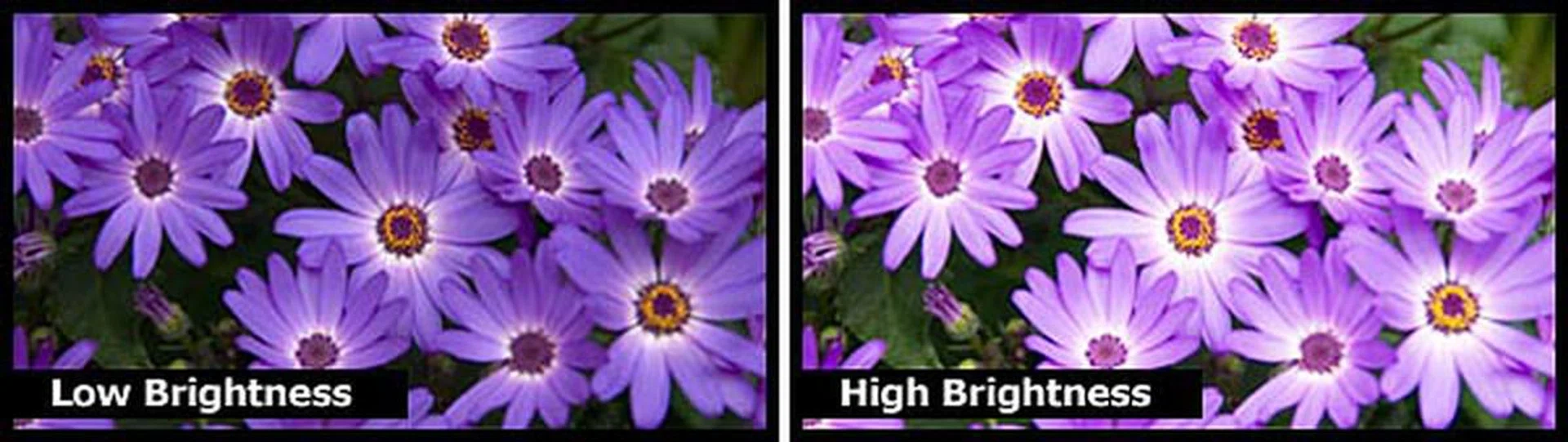 Brightness goes hand-in-hand with contrast to affect perceived image detail.