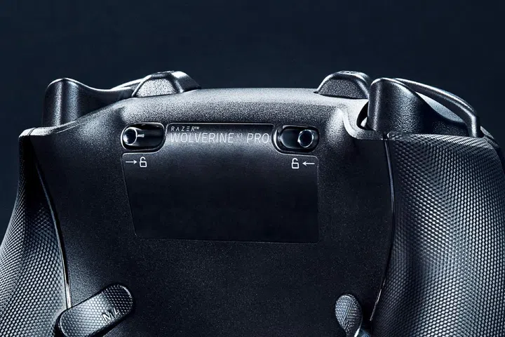 The selectors marked by the padlock symbol let you switch the trigger to activate with a short click for faster response. Image: Razer