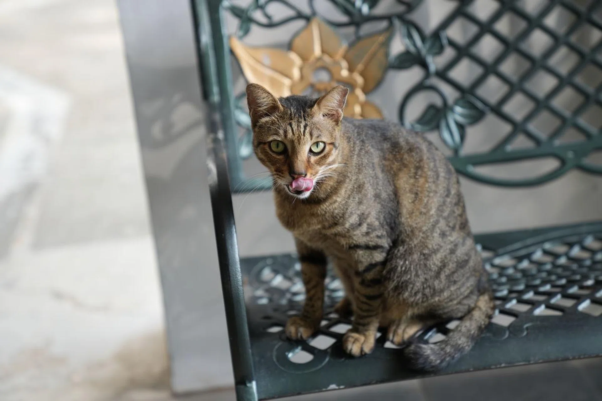 70mm at f/2.8, 1/320s, ISO 400