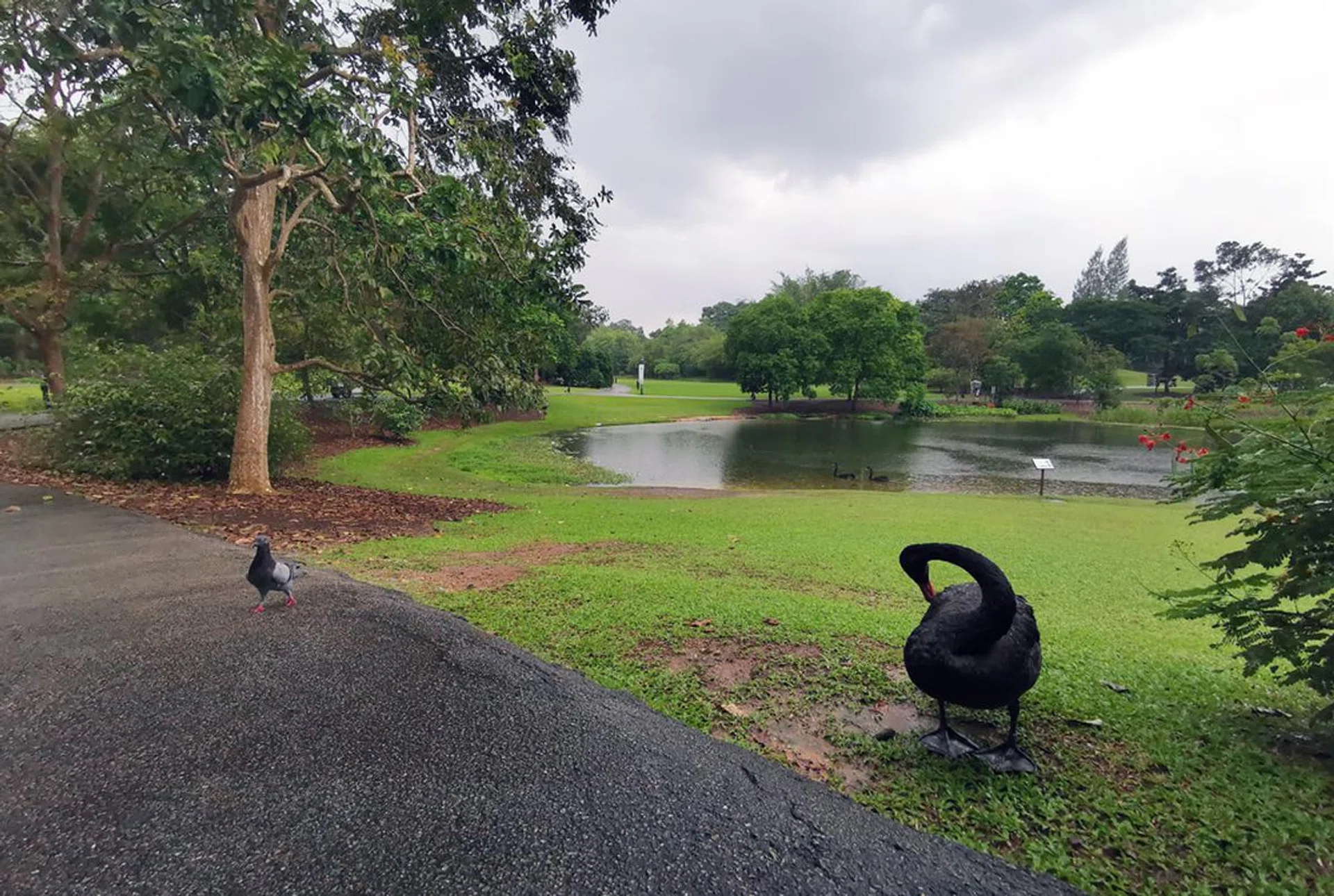 0.6x zoom (ultra-wide), ISO160, 1/500 sec