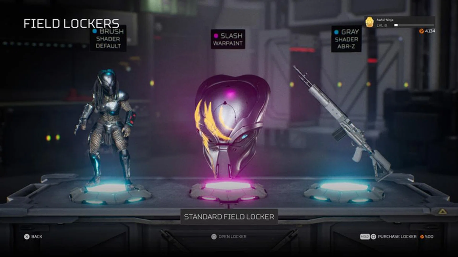 The Fireteam is made up of some of the most generic faces I've seen in any videogame, which makes customisation pretty important. You get lootboxes regularly as you level up and fortunately, there are no microtransactions available in-game. 