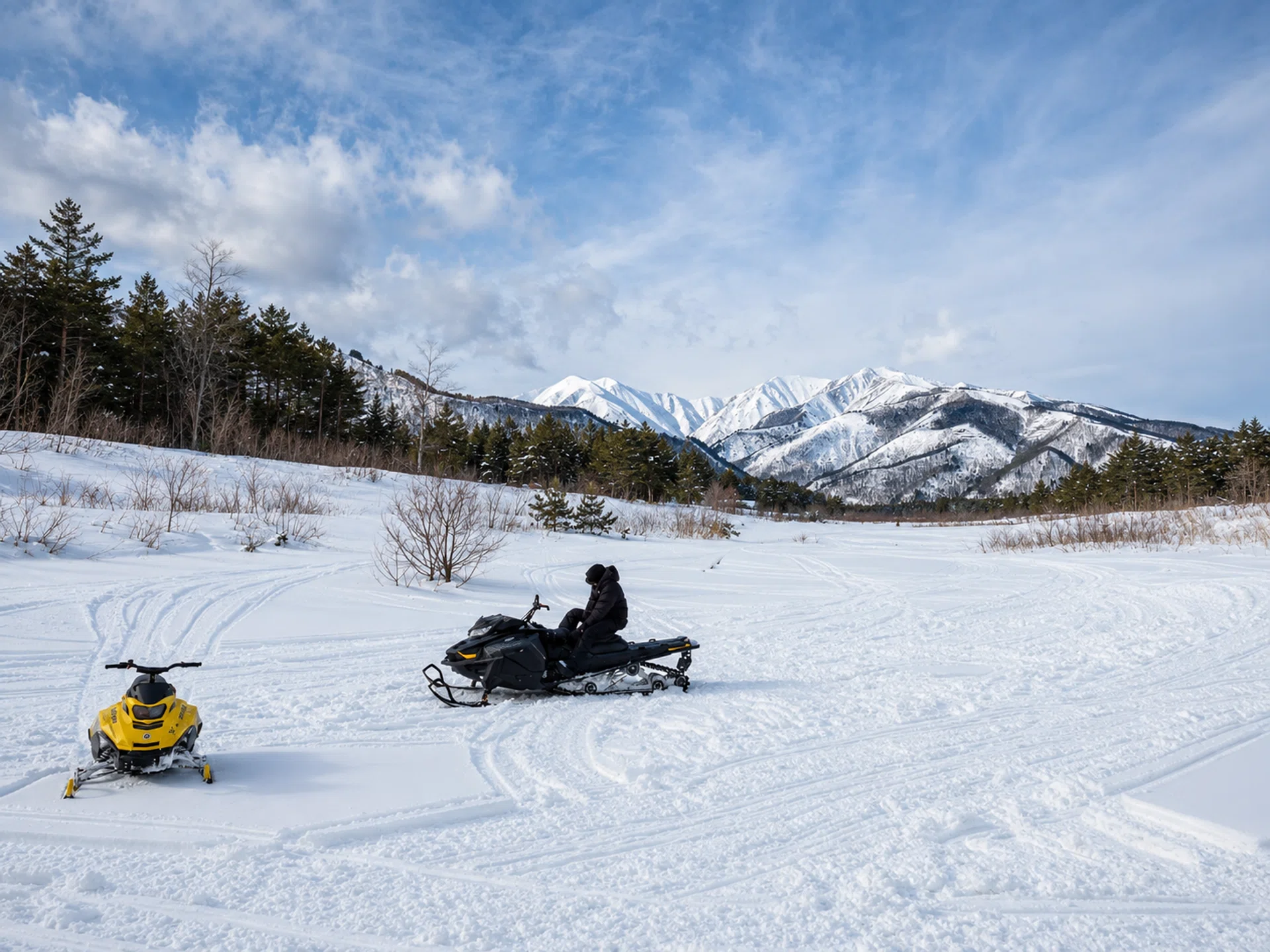 Snowmobile in Hakuba