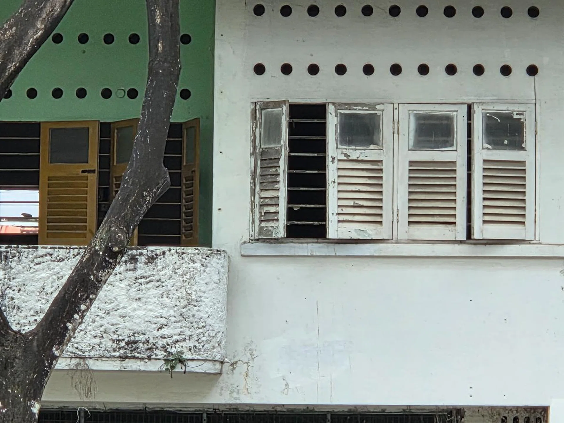 3x optical zoom, Galaxy S25+. Photo: HWZ.