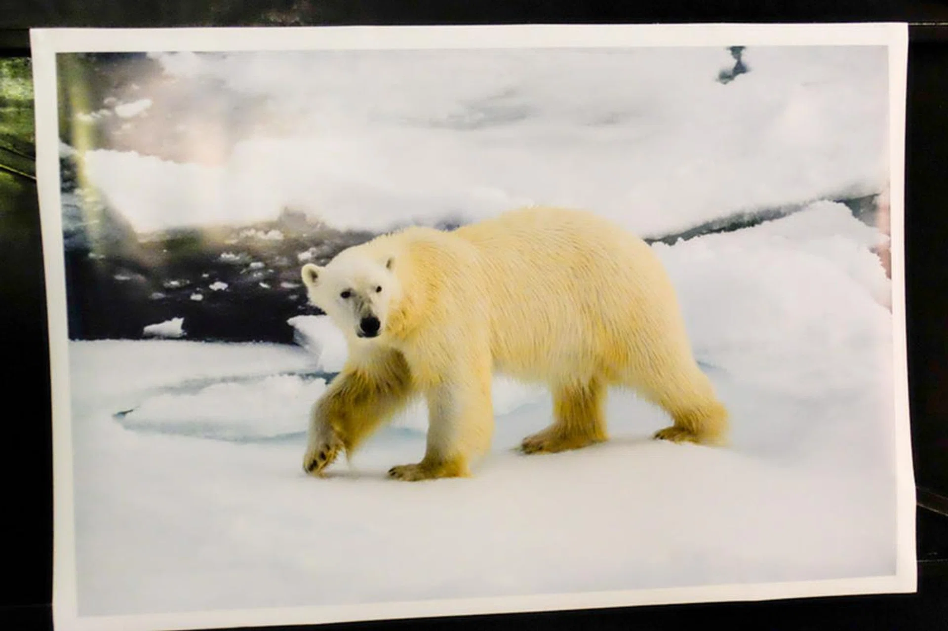 Testament to the versatility of the Leica S system?