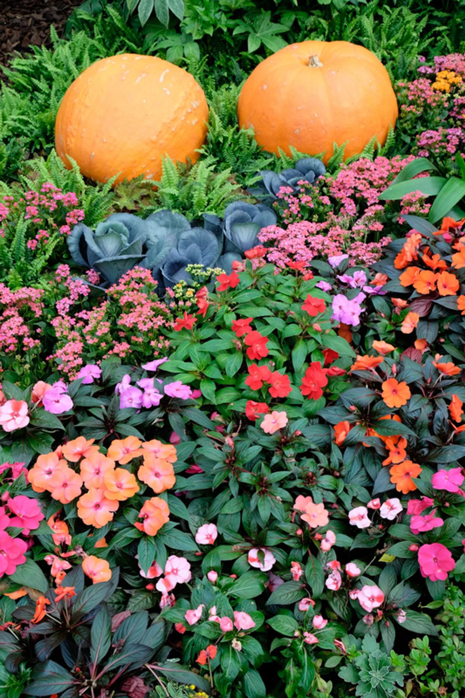 f/8 at 26.5mm, 1/60 sec, ISO 400.