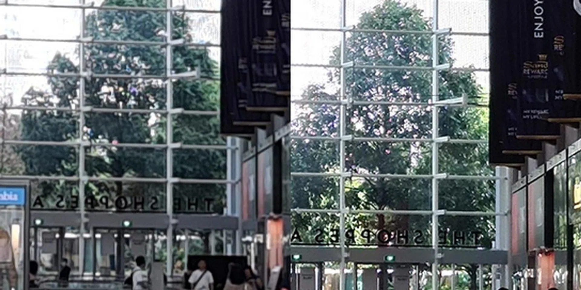 Here's a look at a 100% crop of a 12MP image (left) beside that of a 108MP picture.