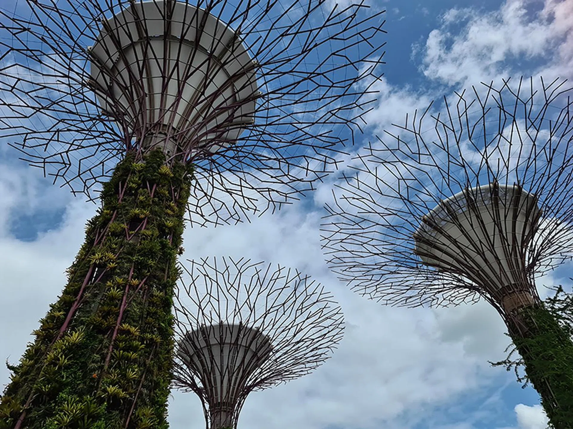 S20 Ultra. (Click to view full-size image)