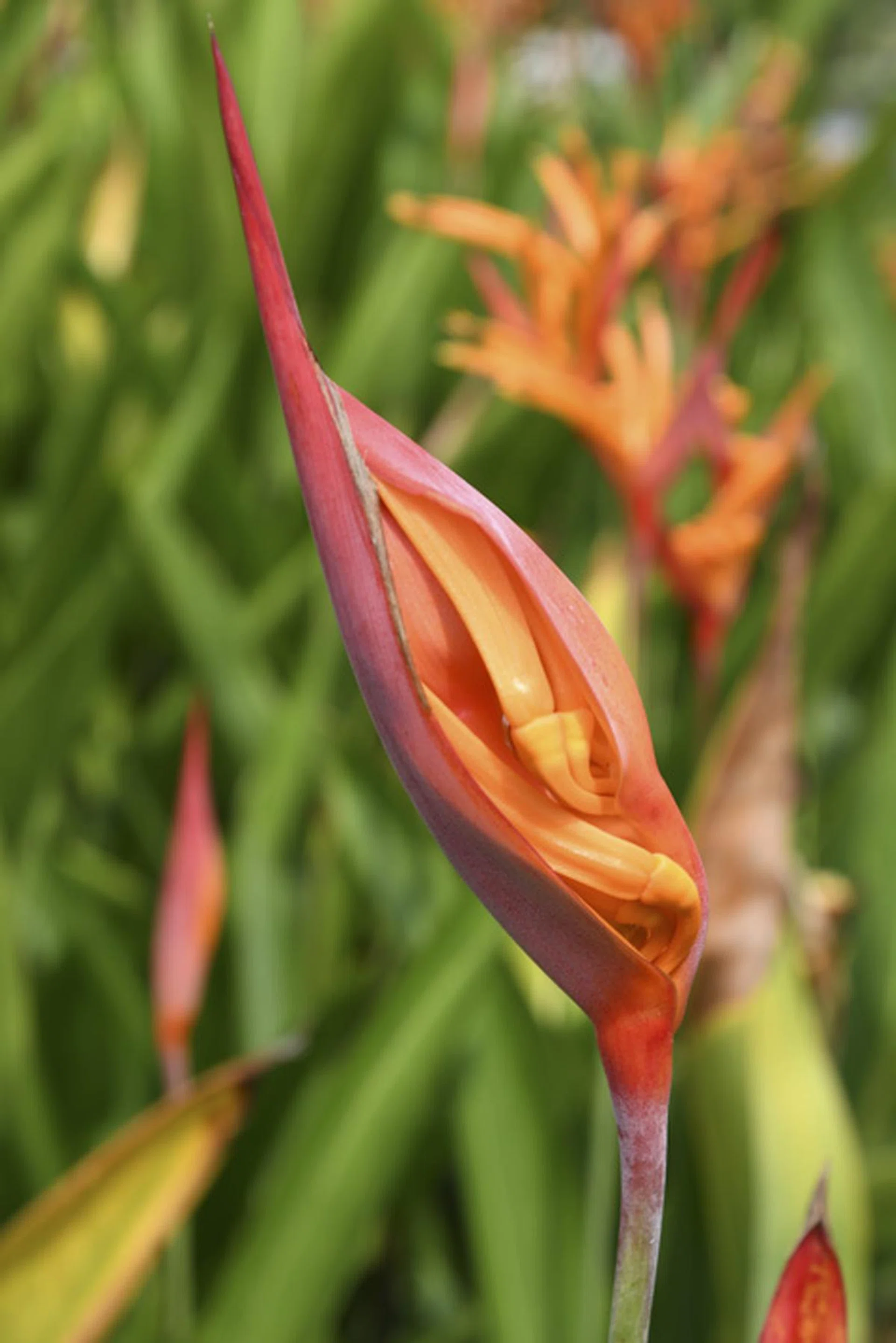 50mm at f/8, 1/200s, ISO 100 (Nikon D500)