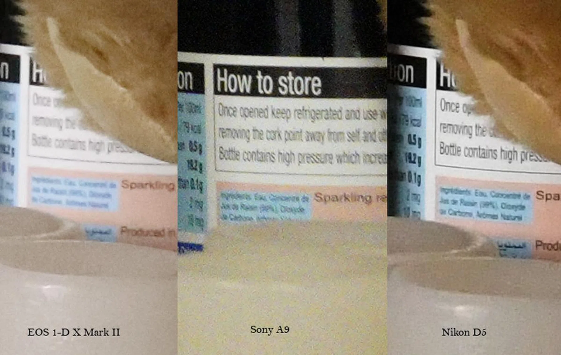 Images shot at ISO 12800. (100% crops)