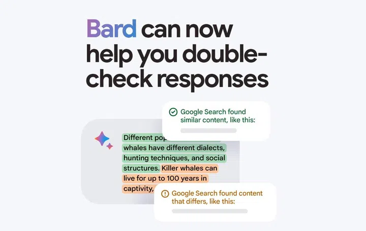 Image source: Google. 