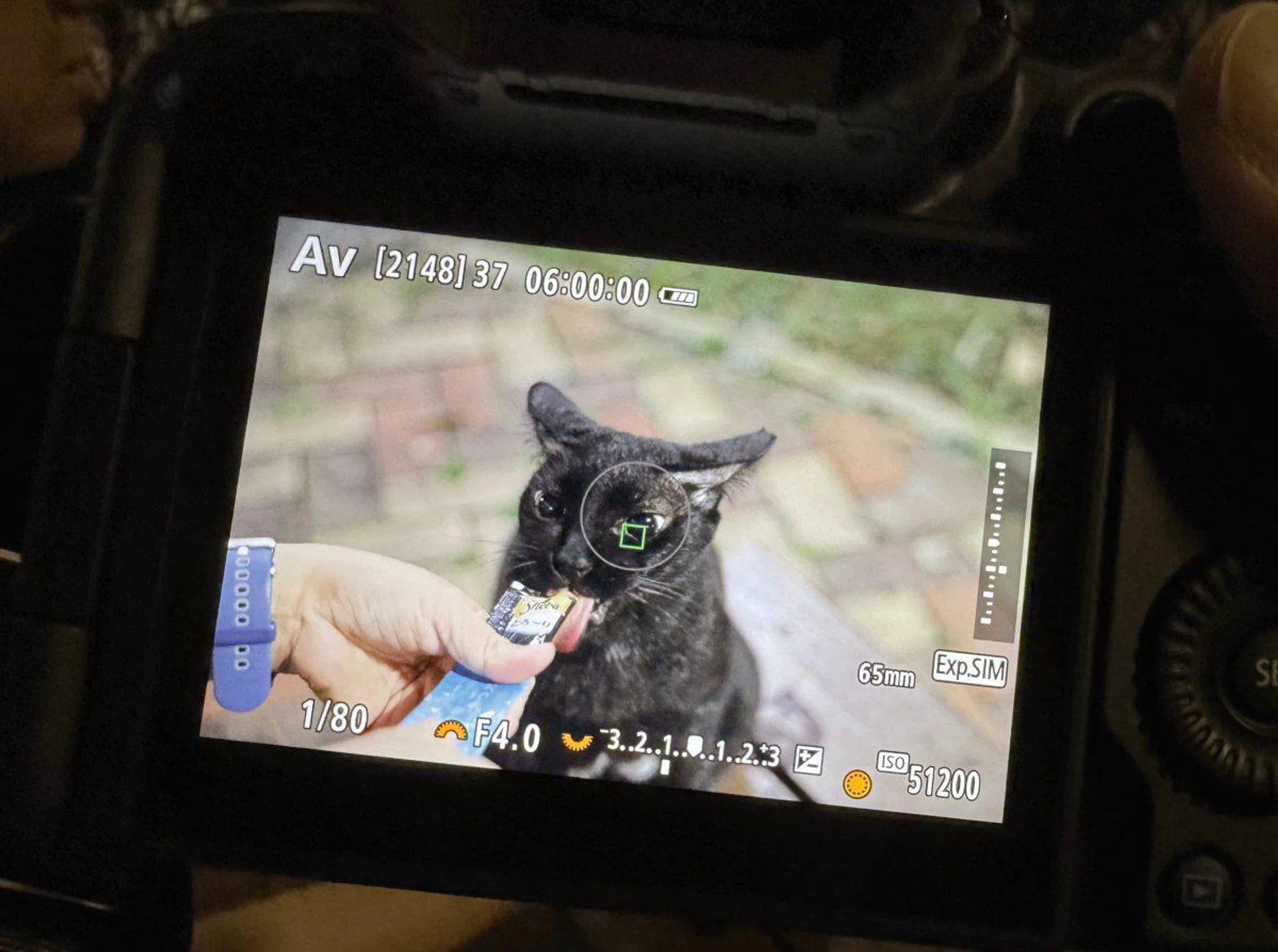 Expanded Subject Tracking AF can detect animals and vehicles as well. Photo: HWZ