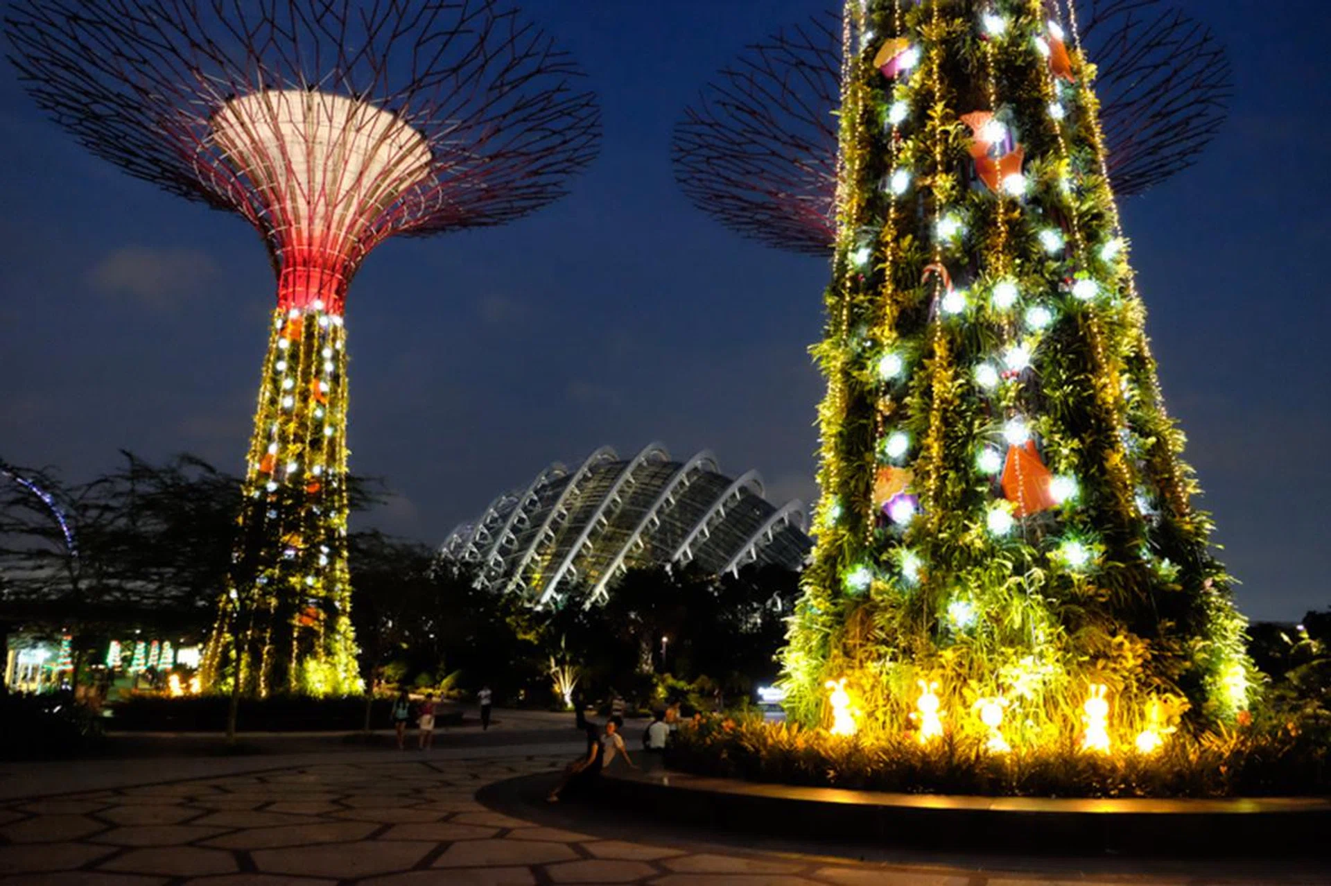 f/2.8 at 18mm, 1/40 sec, ISO 6400.