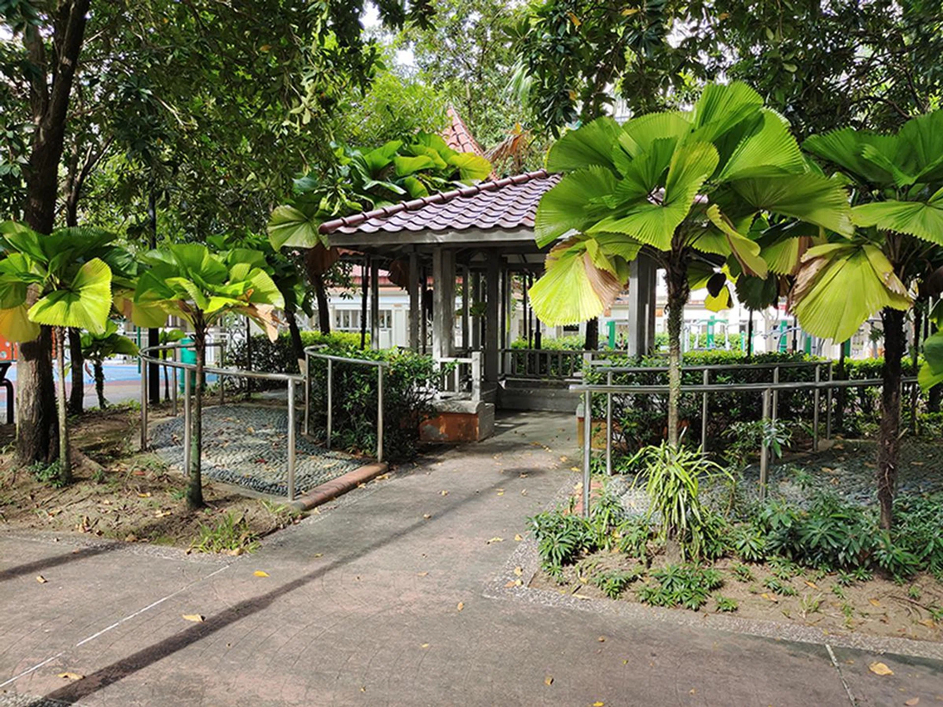 Main camera, no zoom.