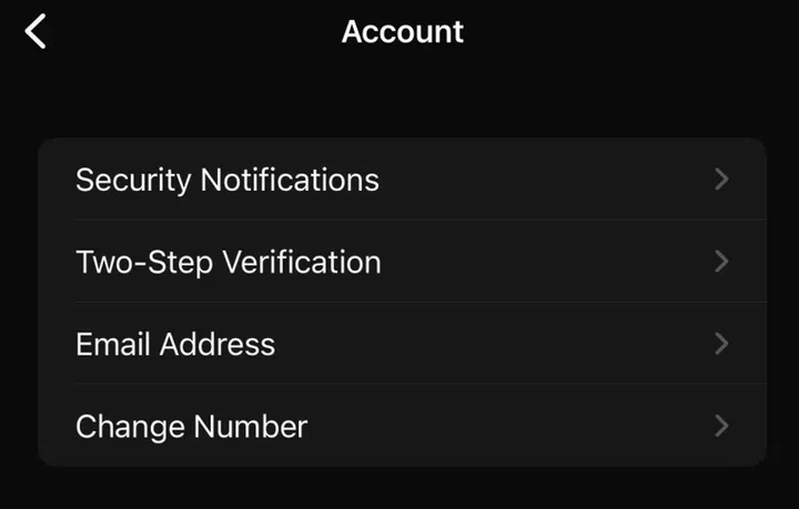 Email address verification does not replace SMS verification on WhatsApp.