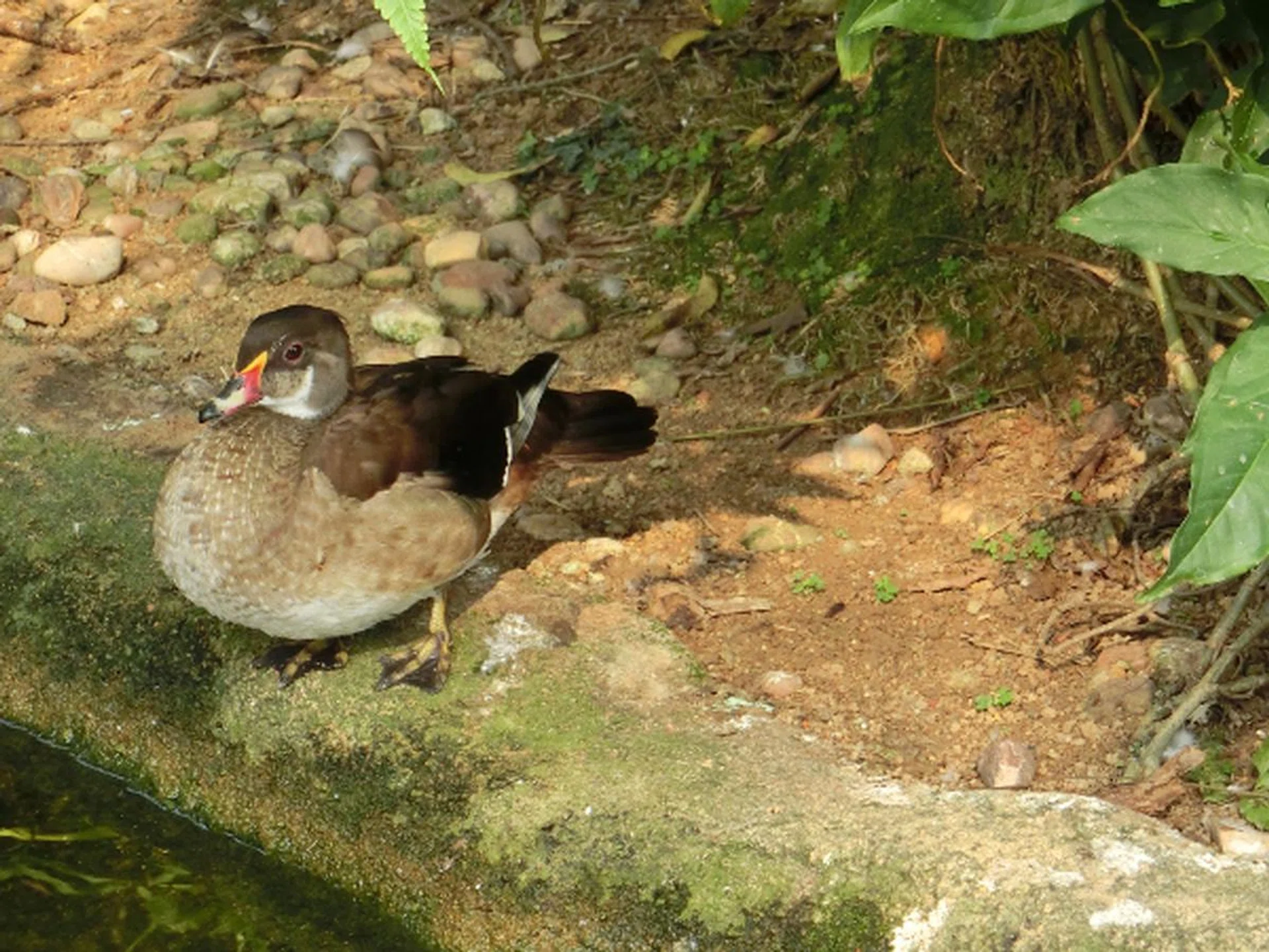 Our main gripe with the Casio ZR700 is its image sharpness and quality. If you're viewing images at lower resolutions they appear fine, such as this photo. But once you click through to see the full sized image, your opinion will differ.