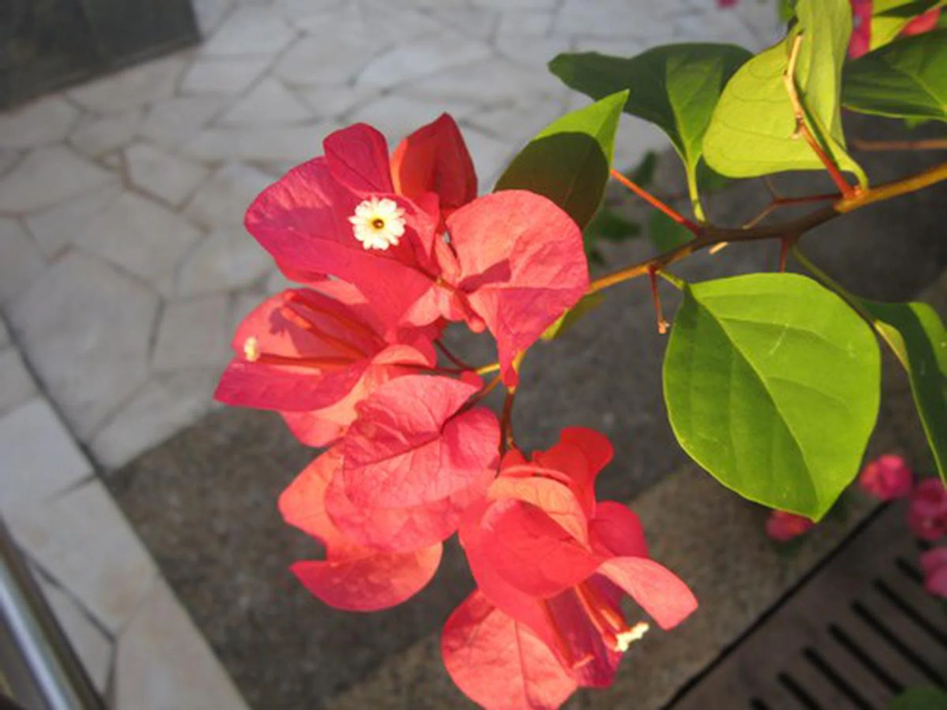 f/2.8 at 5mm, 1/80 sec, ISO80.