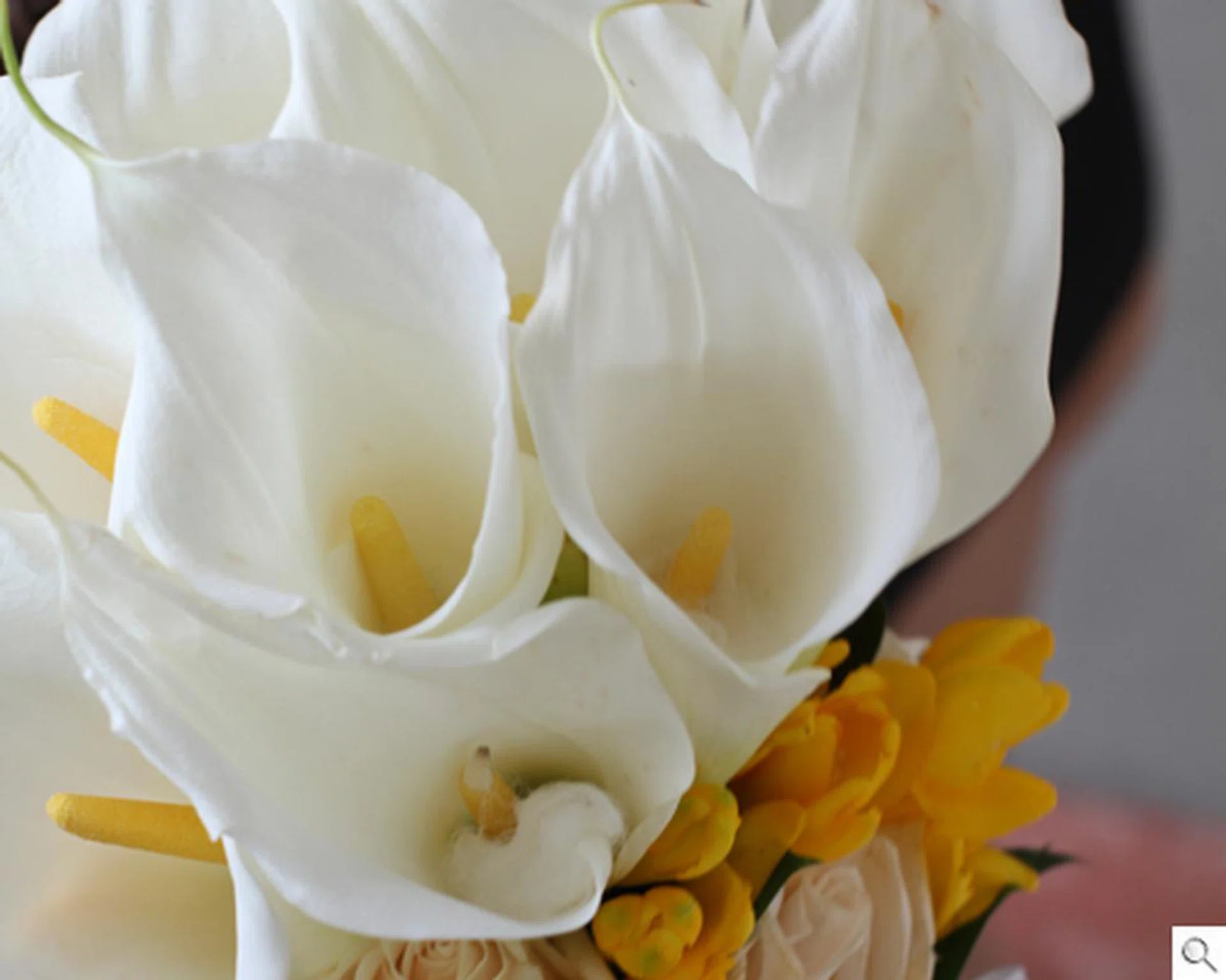 Taken on Aperture Priority, ISO200, F5.6, 1/60 sec. Click on the image for the full resolution.