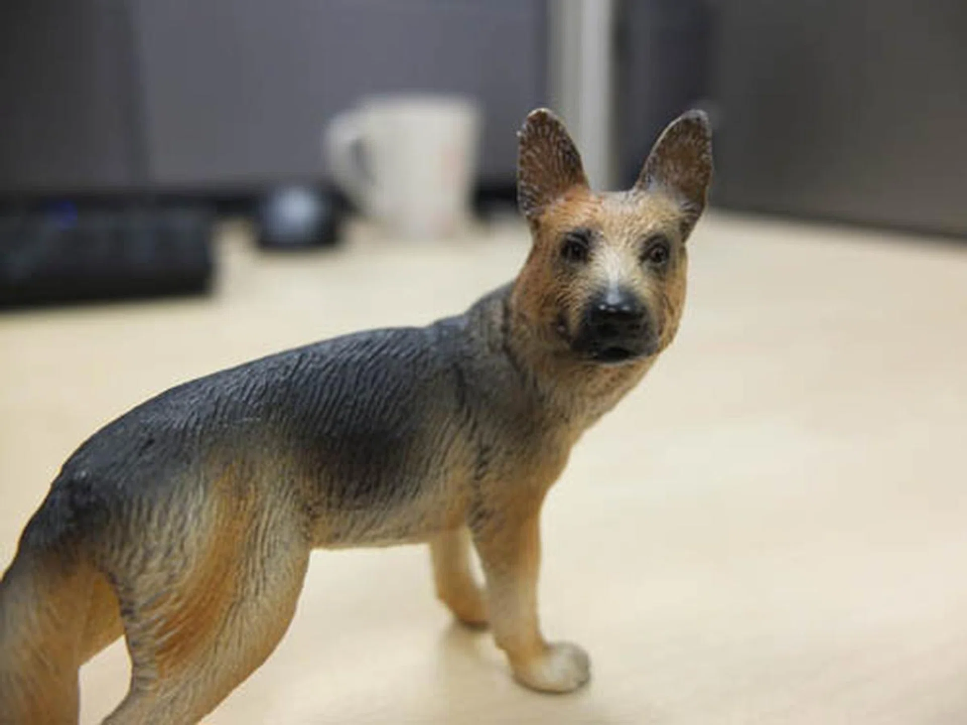 Another sample shot using the X10's Macro mode. This is the closest we could get, focusing on the dog model's face, shooting at the widest 28mm.