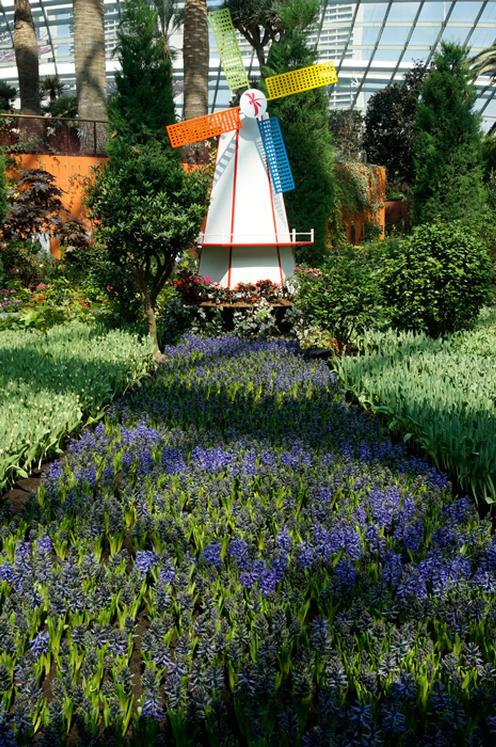 f/9 at 37mm, 1/60 sec, ISO 100.