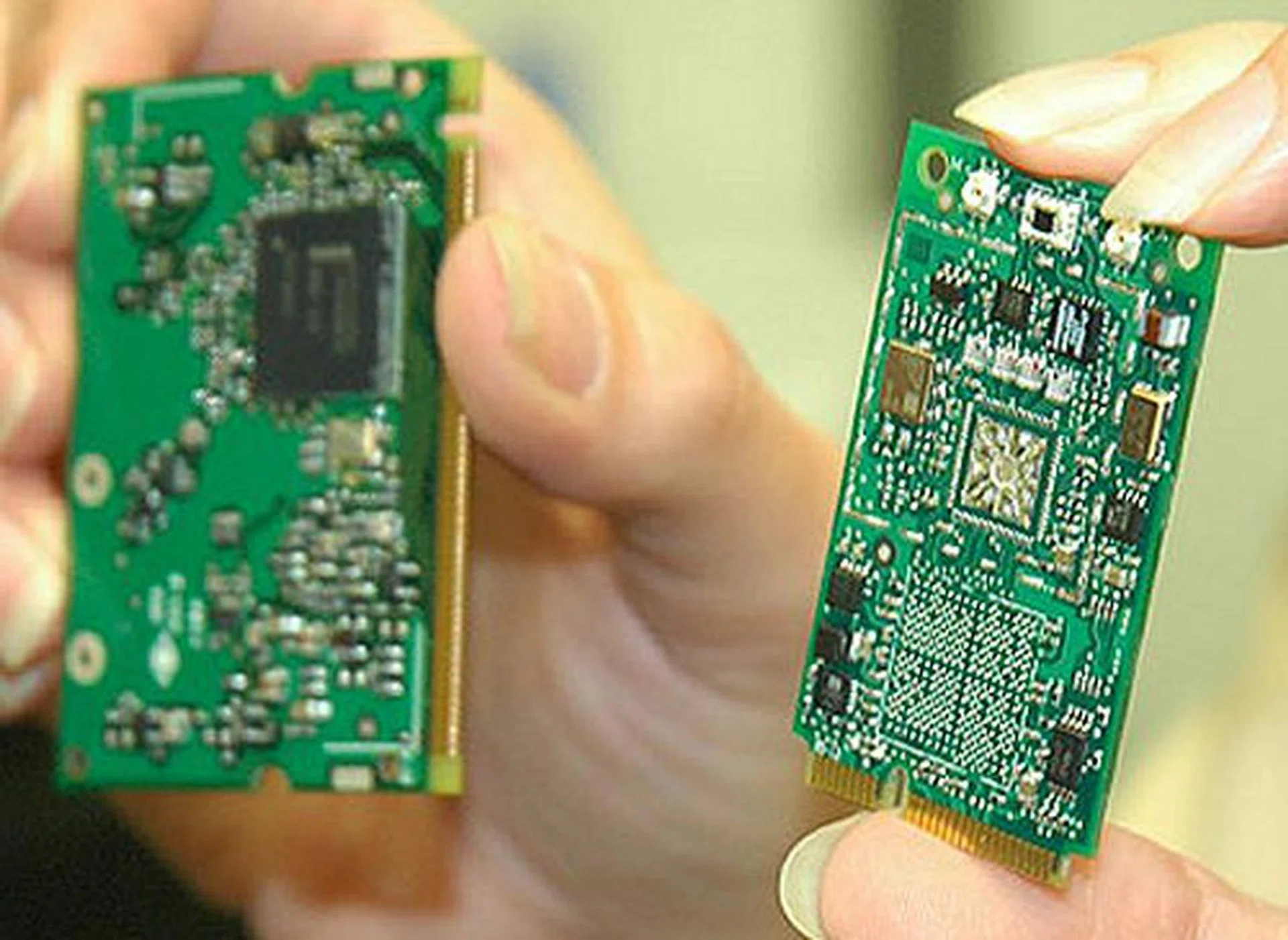 See the difference in size between the Calexico 2 of 'Sonoma' (left) and Golan of 'Napa' (right)?