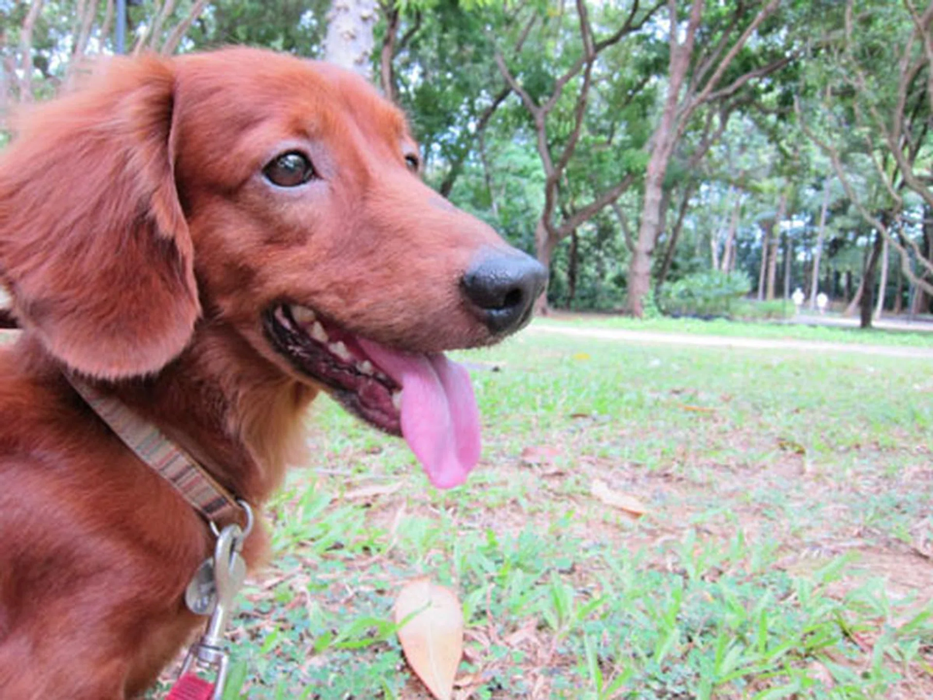 Shot at f/4, 28mm, 1/50 sec, ISO250. Click for the full resolution image (warning: large).