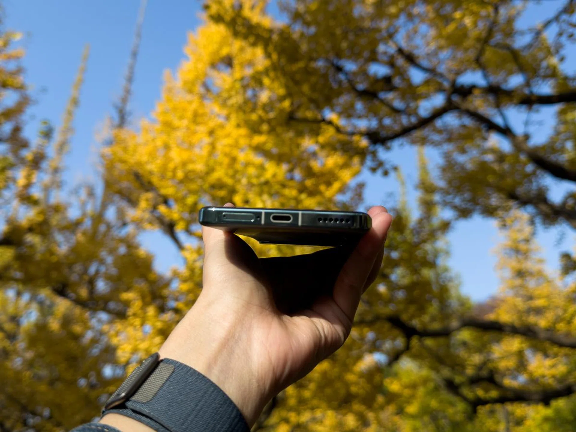Honor Magic5 Pro