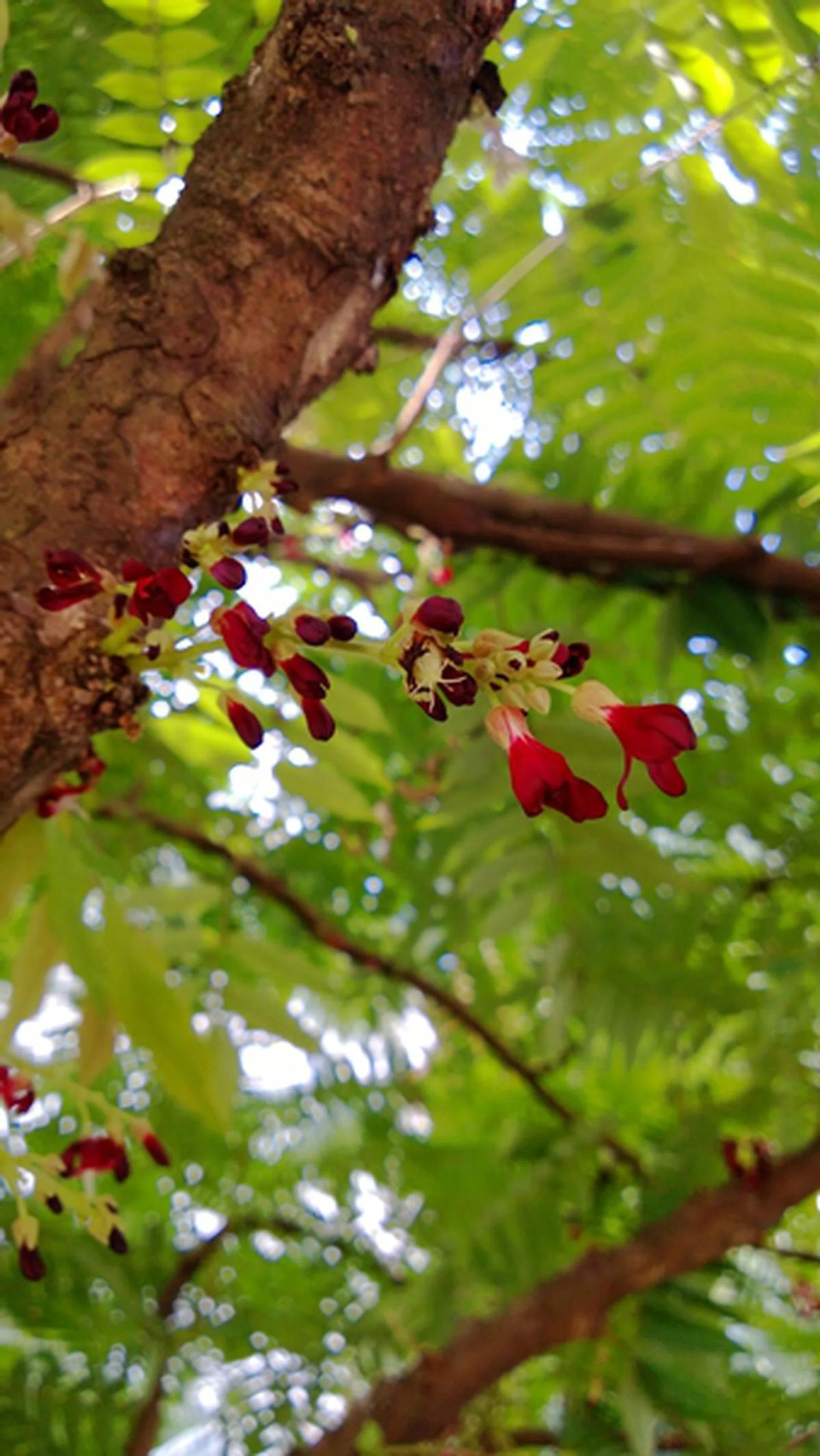 f/2.0, 1/100 sec, ISO 160.