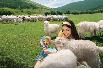 Huawei MatePad 12 X PaperMatte Edition (2025)