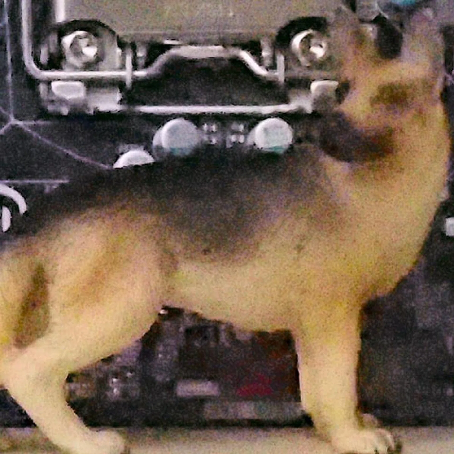 ISO12800, 100% crop of our test scene.