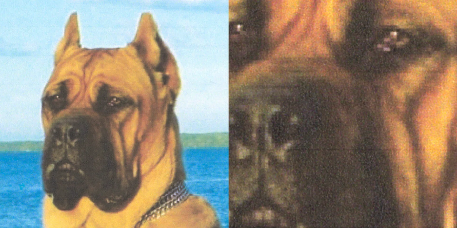 Close-up scan of its colour image print capability. As mentioned above, the outcome was actually closest to our source material.