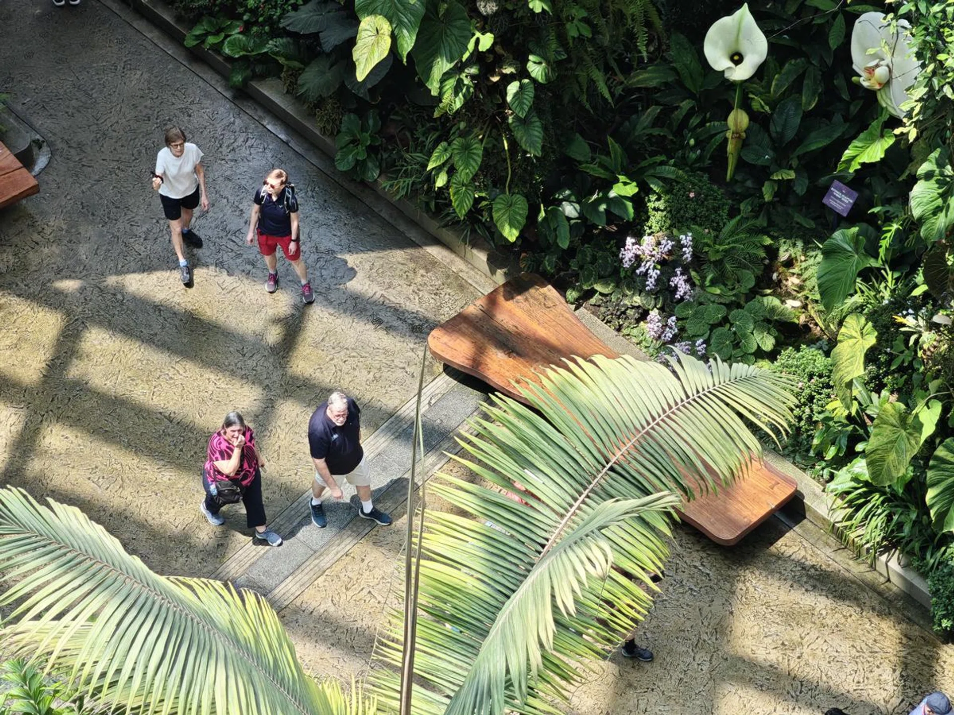 5x zoom. Photo: HWZ.