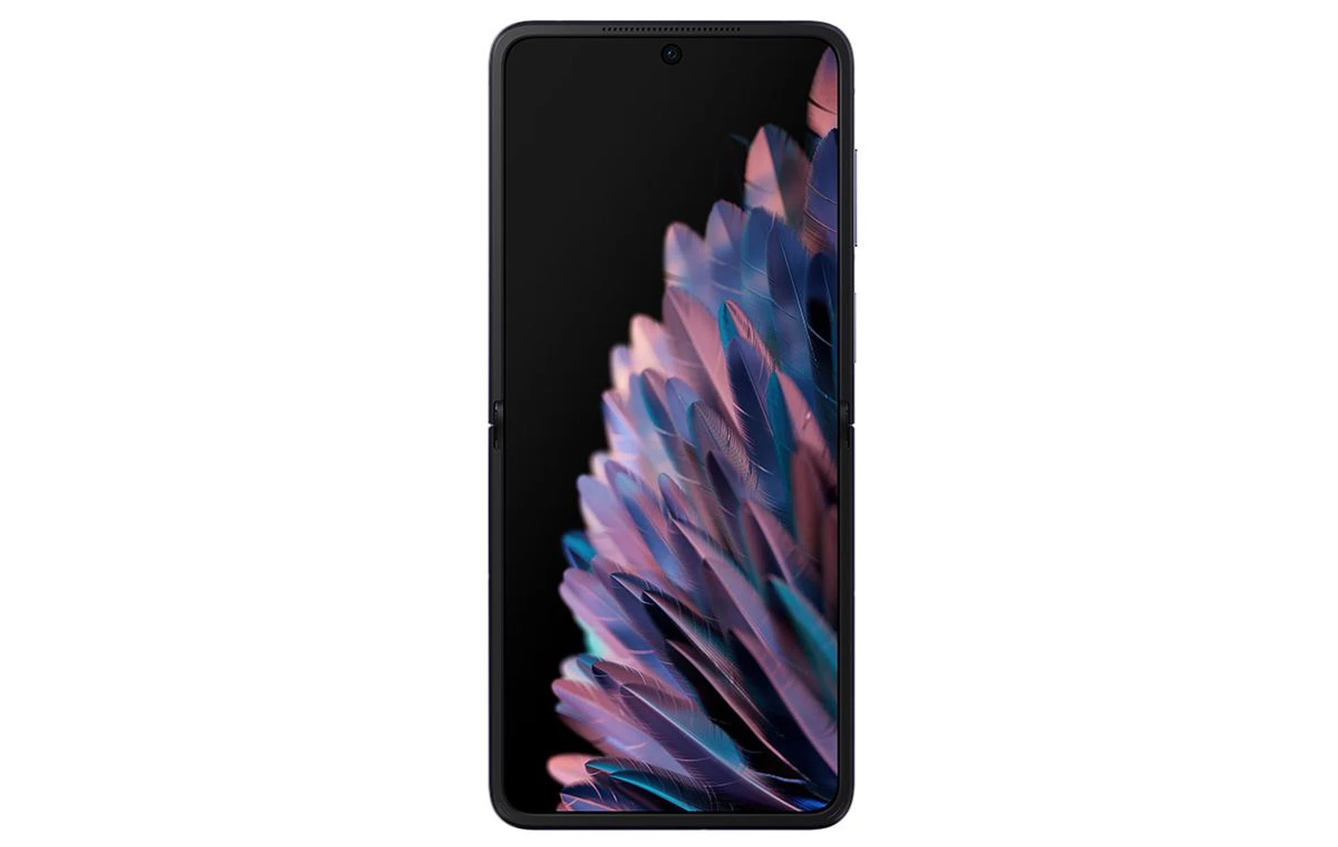 Main display with "front" camera.