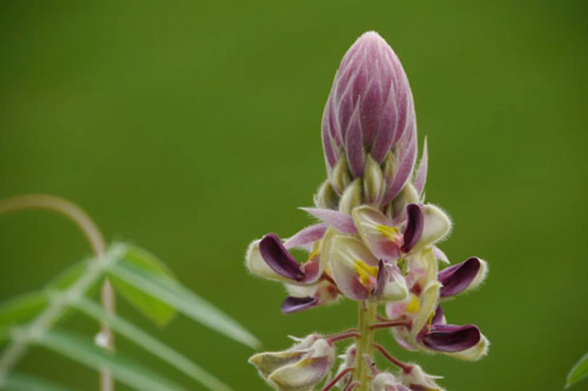 f/5.8 at 280mm, 1/200 sec, ISO400.