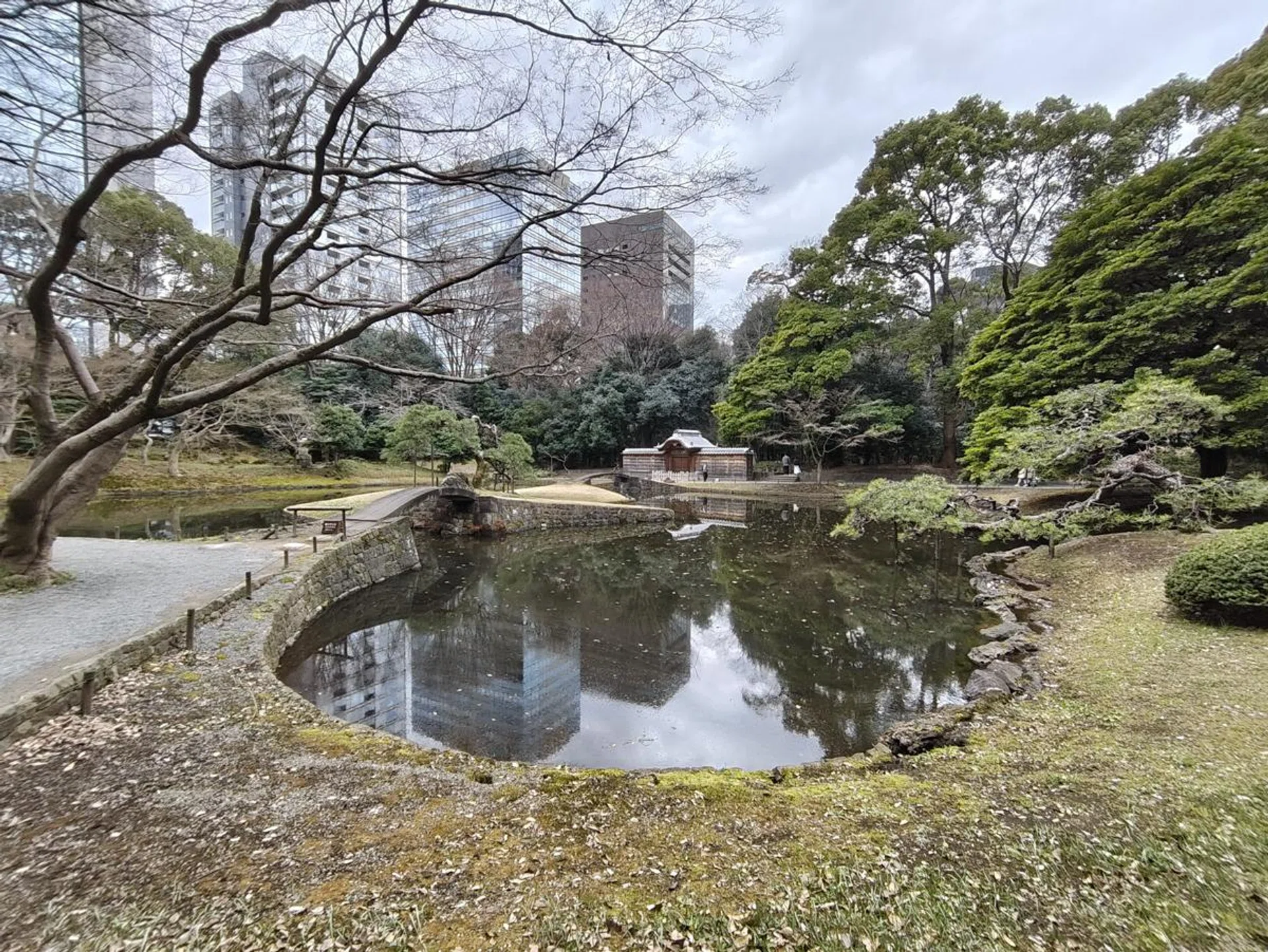 Nothing Phone (3a) ultrawide. Photo: HWZ.