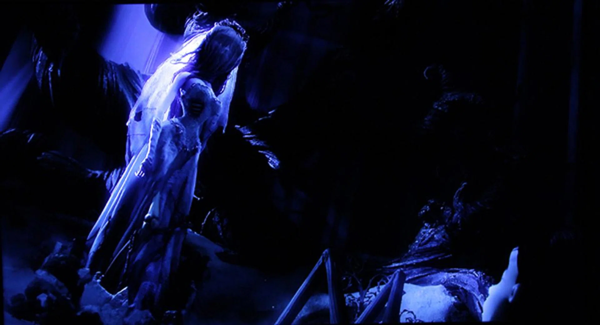 While it may not be evident in this shot, the F8000 has great greyscale capabilities.