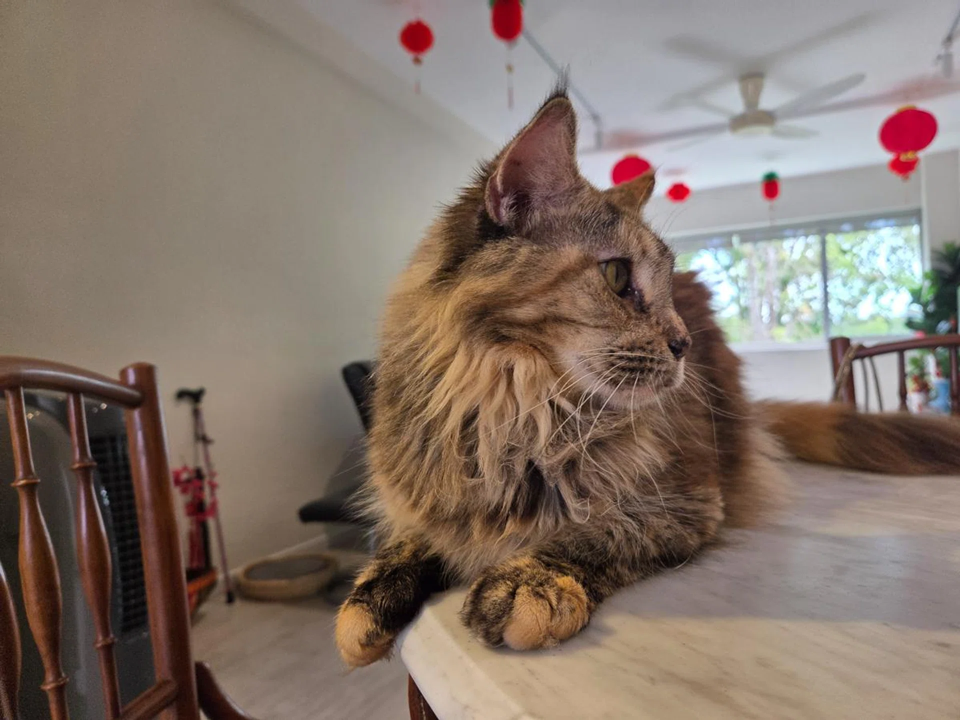 Main camera, Galaxy S25. Photo: HWZ.