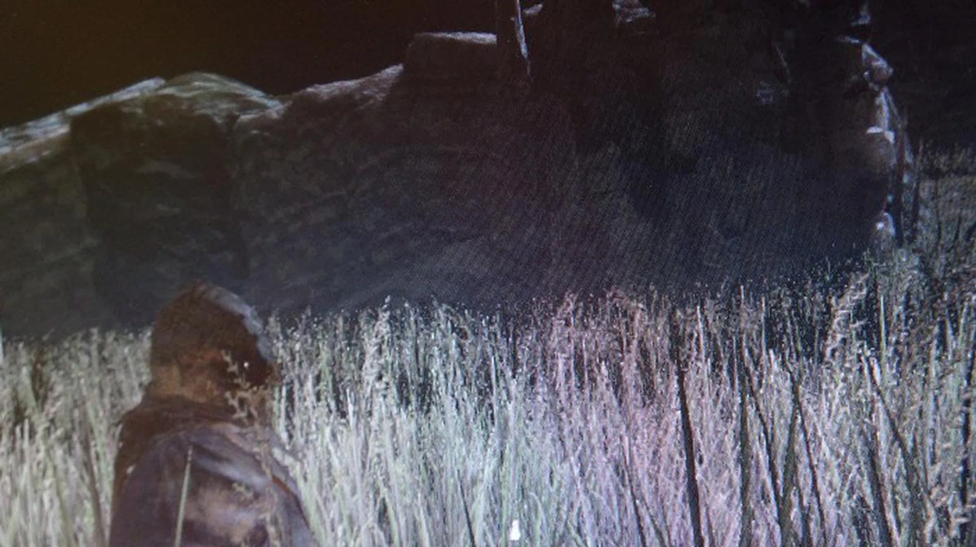 Here's an actual in-game close-up photographed from a demo machine's monitor without DSR. This was taken at NVIDIA's event, thus we have to go with photograph. Click to view the 100% cropped photo.