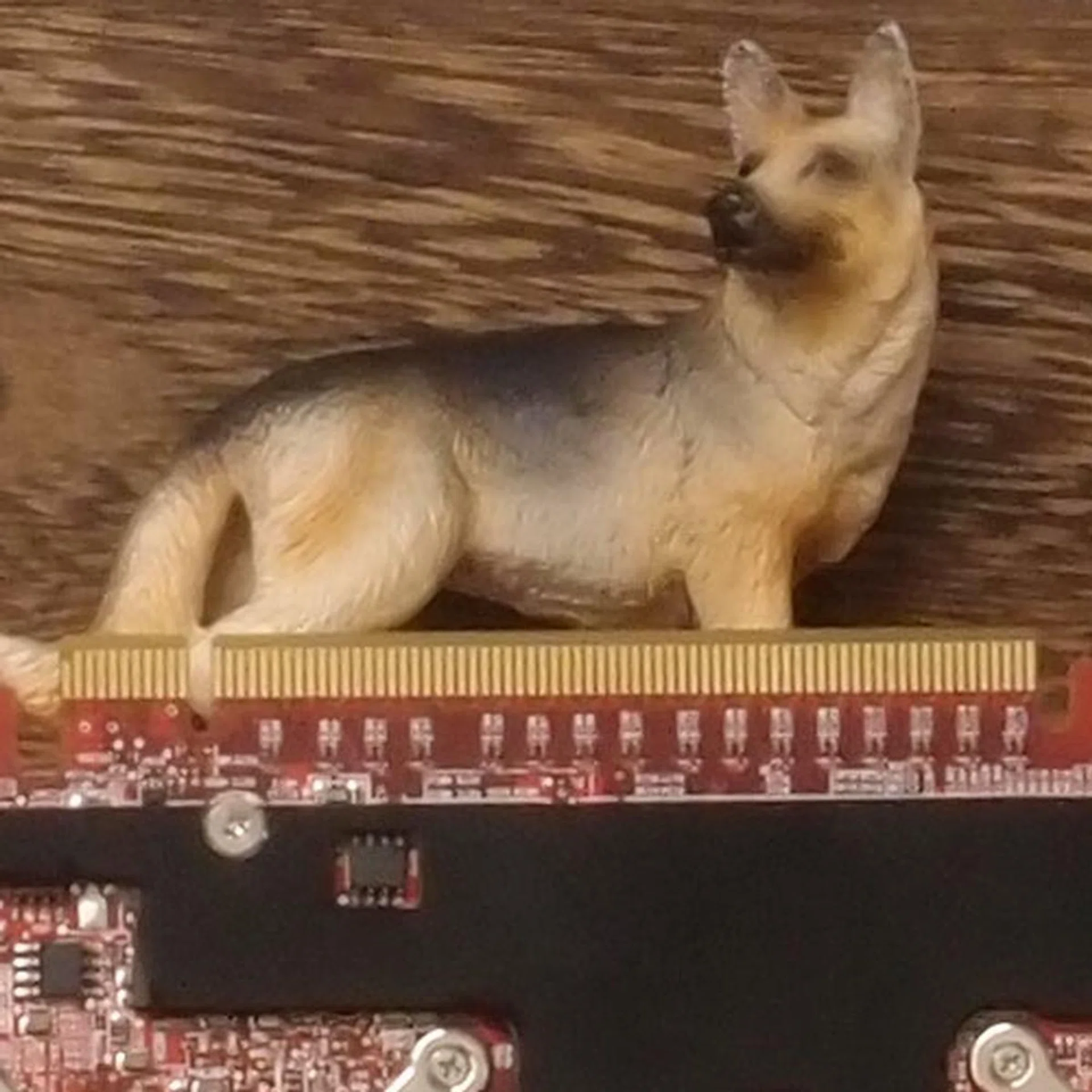 ISO400, 100% crop. Click for full resolution image.