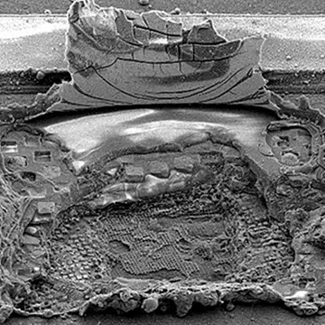 (Image Source: California Institute of Technology)