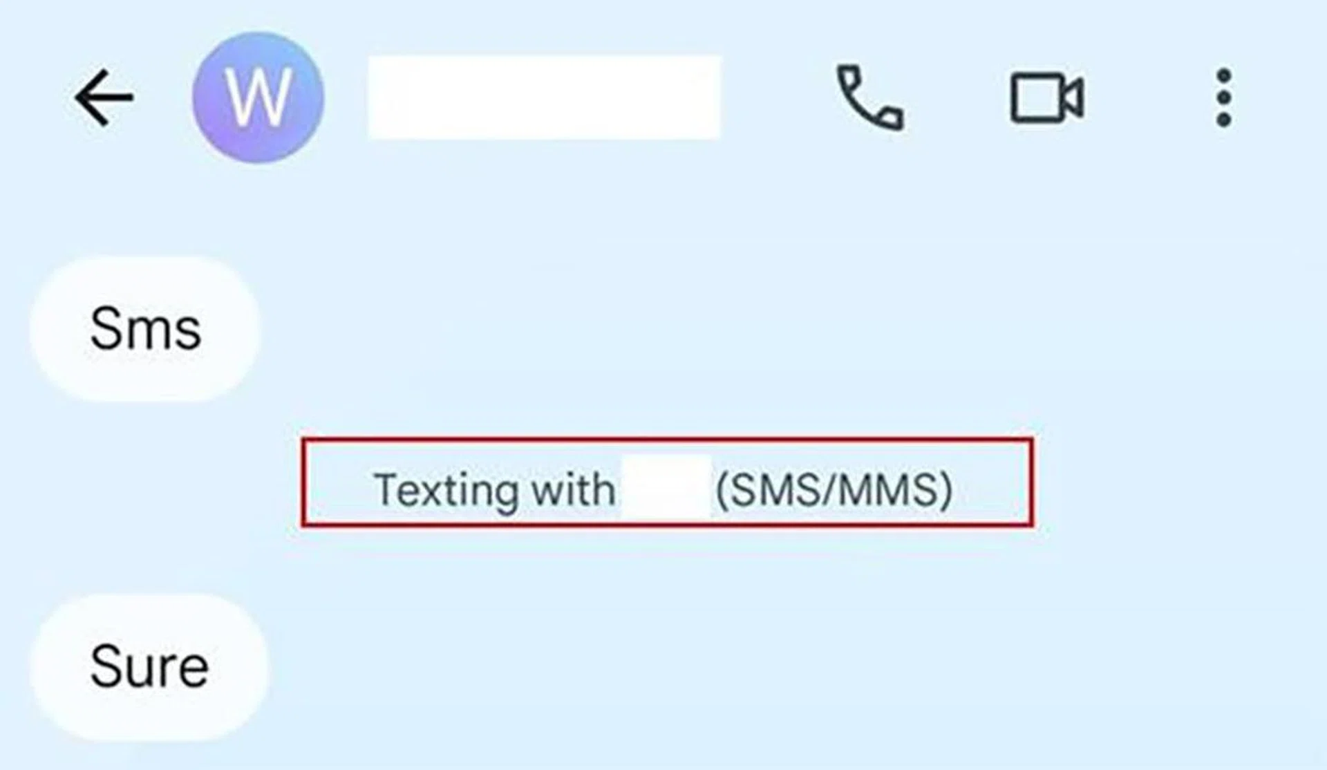 SMS chats will also state the format. Photo: Singapore Police Force.
